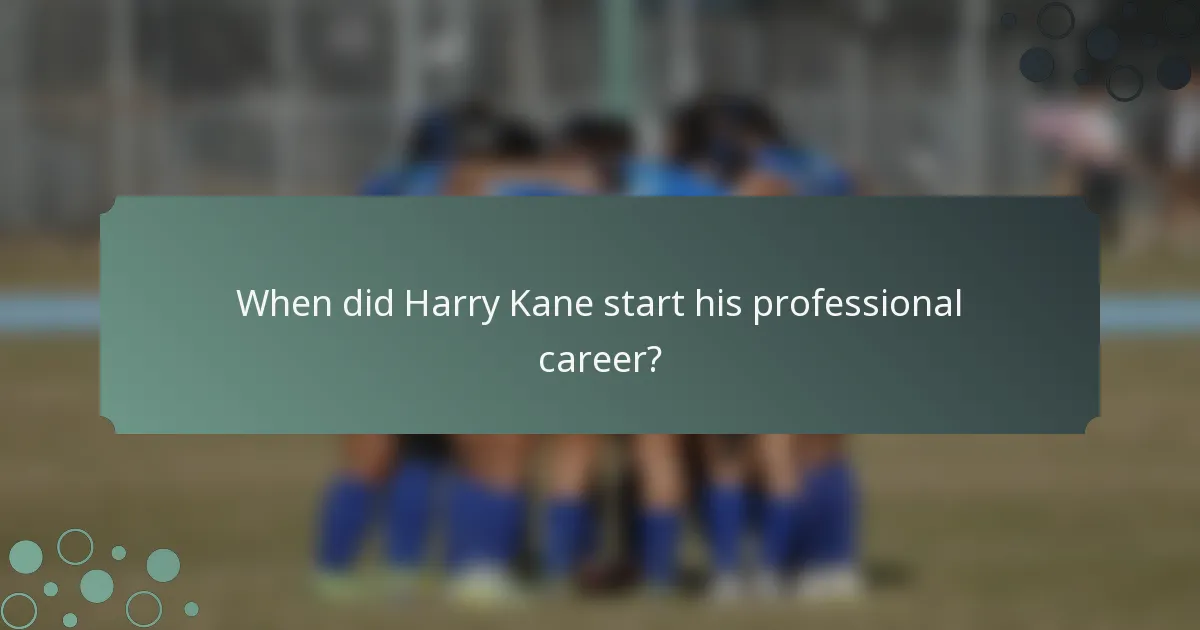 When did Harry Kane start his professional career?
